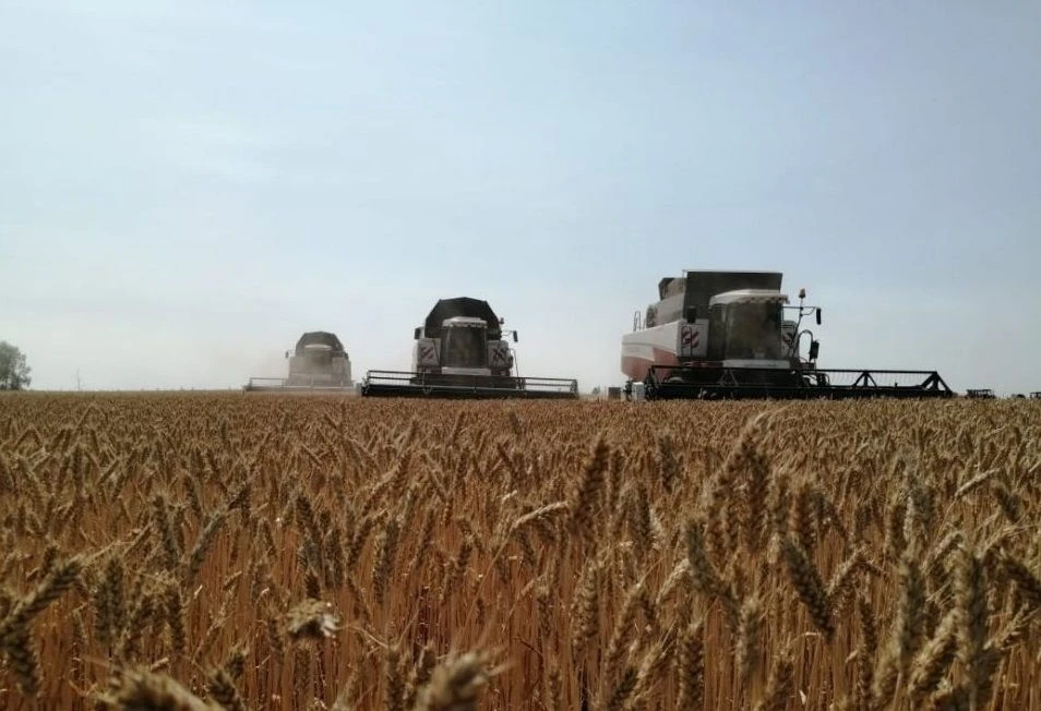 Логотип канала