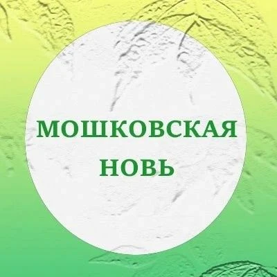 Мошковская новь: новости района и Новосибирской области — канал в мессенджере MAX