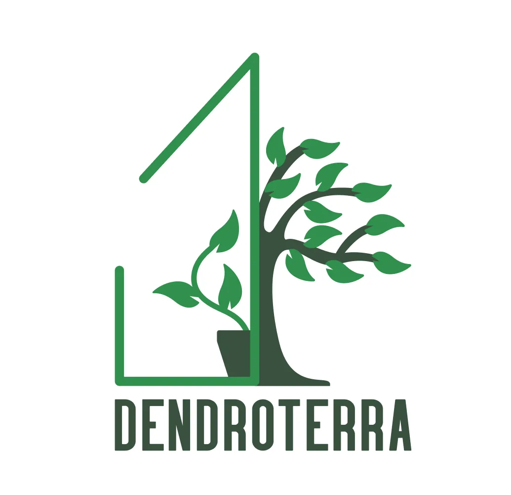 Dendroterra комнатные и горшечные растения в Воронеже — канал в мессенджере MAX