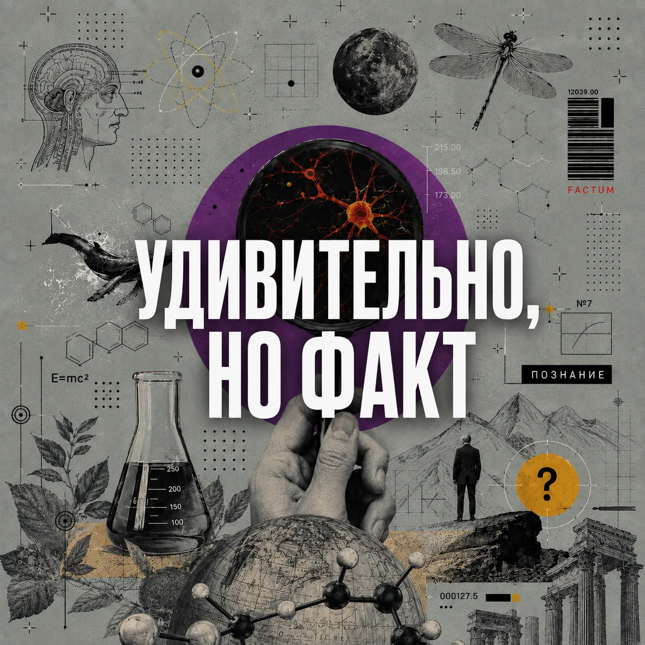 Удивительно, но факт — канал в мессенджере MAX