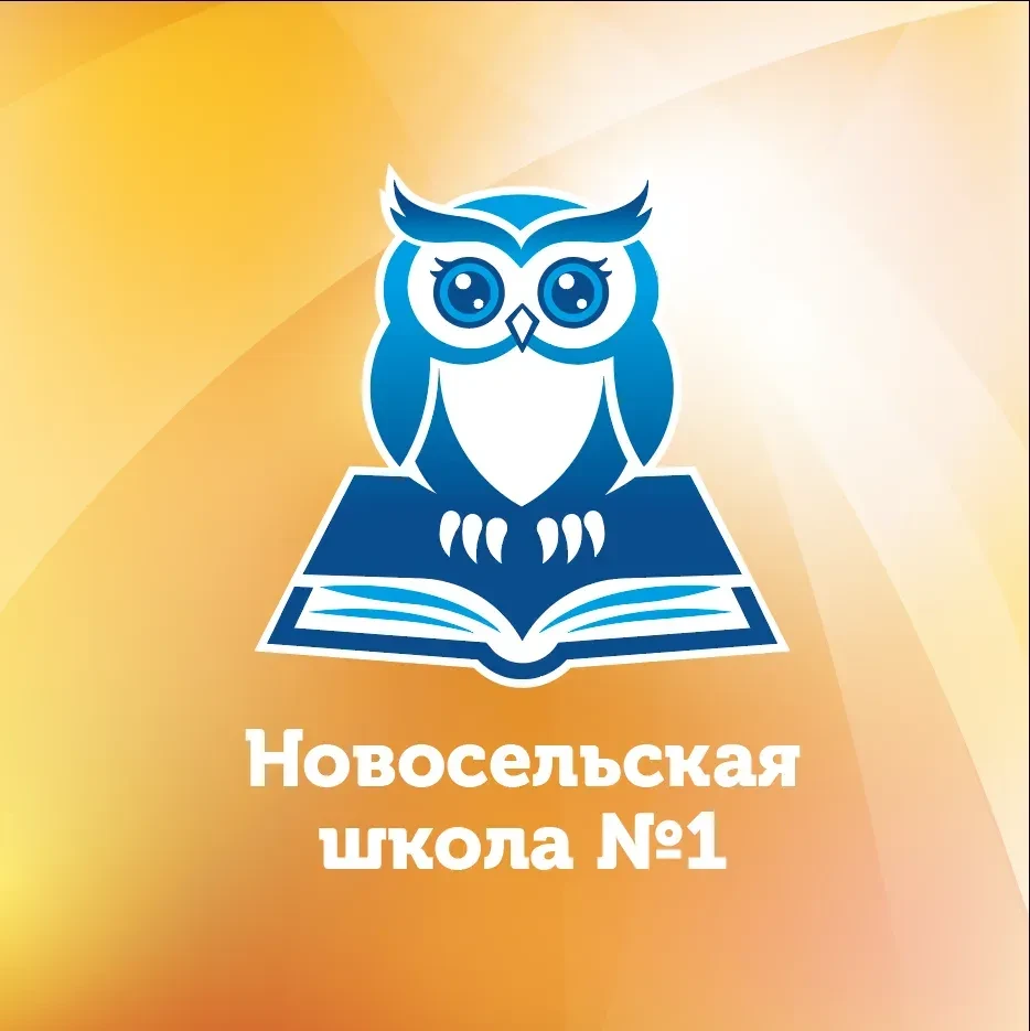 Официальный канал МОУ "Новосельская школа №1" — канал в мессенджере MAX