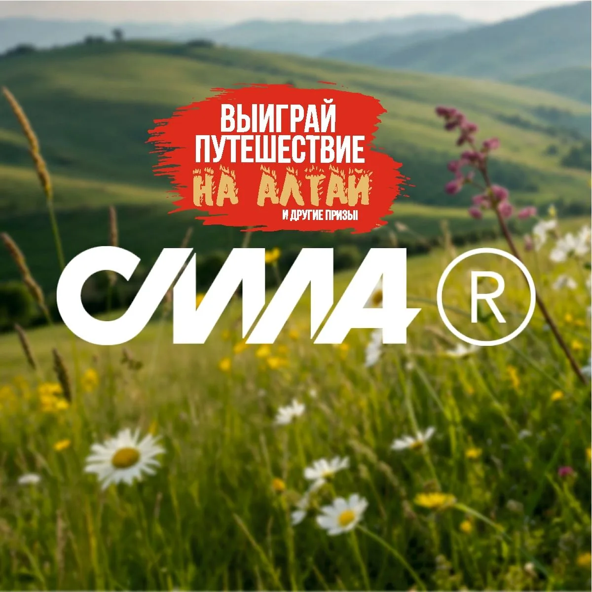 Мясная продукция СИЛА ® — канал в мессенджере MAX