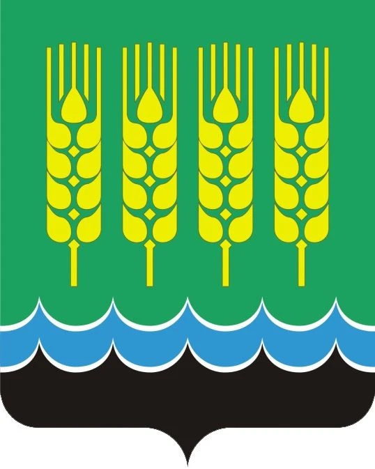 Администрация Дюртюлинского района