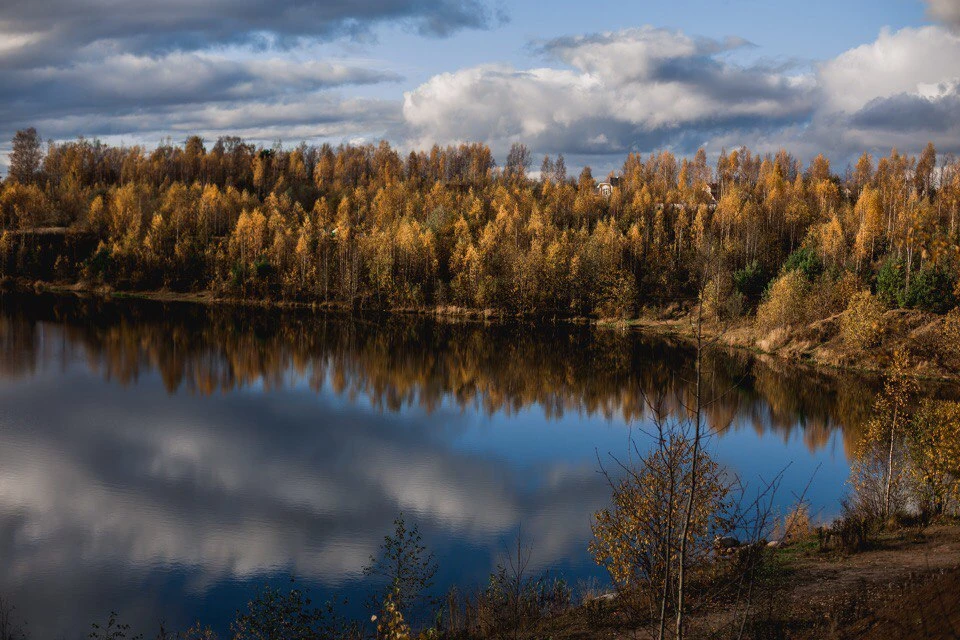 СНТ "Заозёрное 1". Соседи.