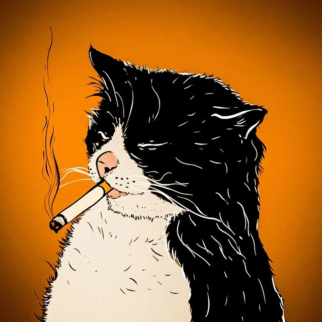 Животные Коты собаки собачки хомяки попугай кошки котенок — канал в мессенджере MAX