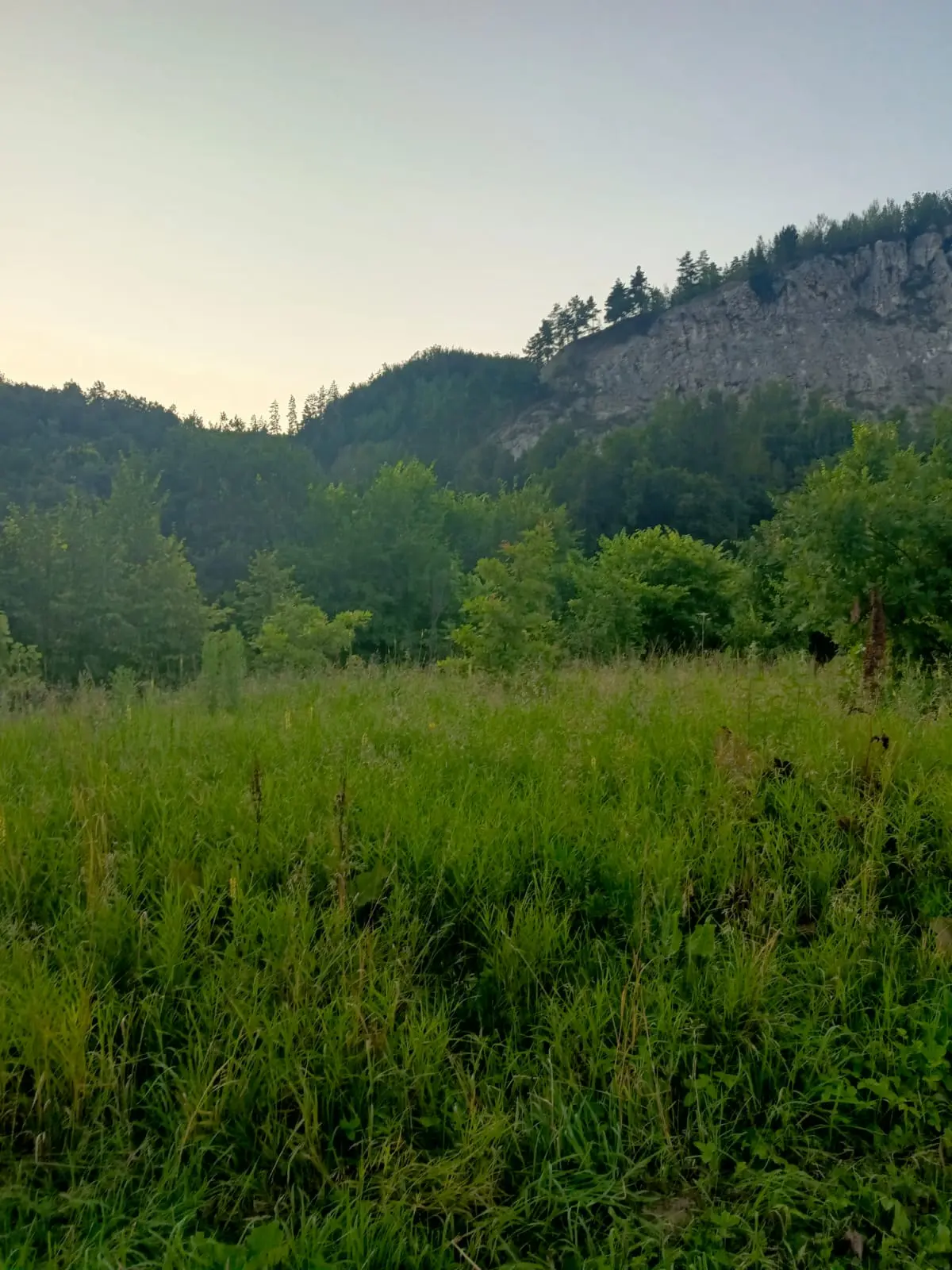 СП Охлебининский сельсовет