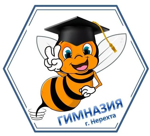 МОУ гимназия г. Нерехта