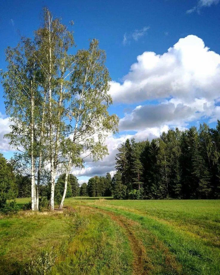 Абрамовский сельсовет