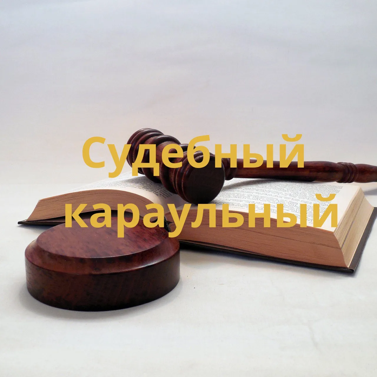 Судебный караульный — канал в мессенджере MAX