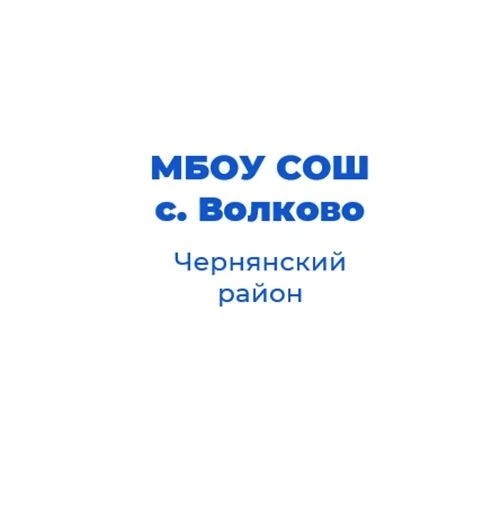 МБОУ "СОШ с. Волково"