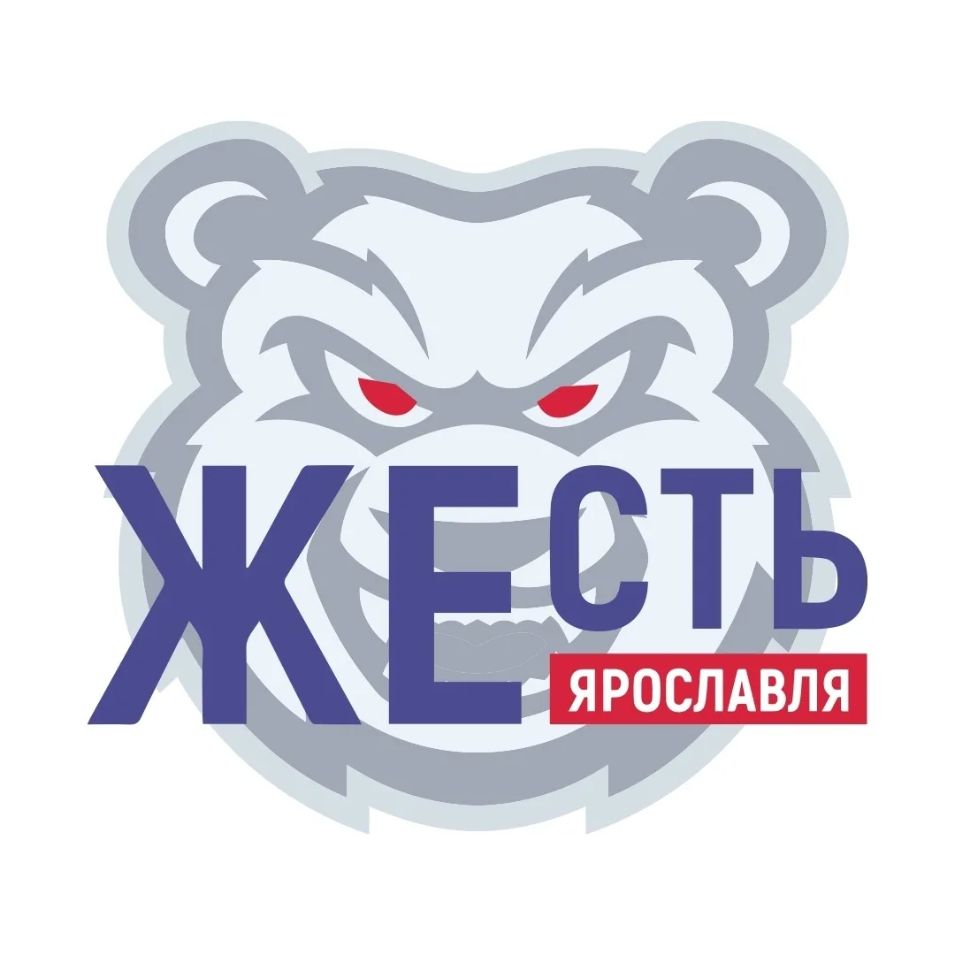 Жесть Ярославль — канал в мессенджере MAX