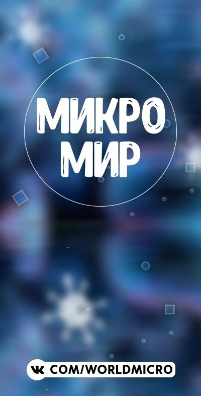 Микромир