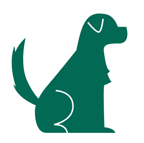 DogBreeds — канал в мессенджере MAX