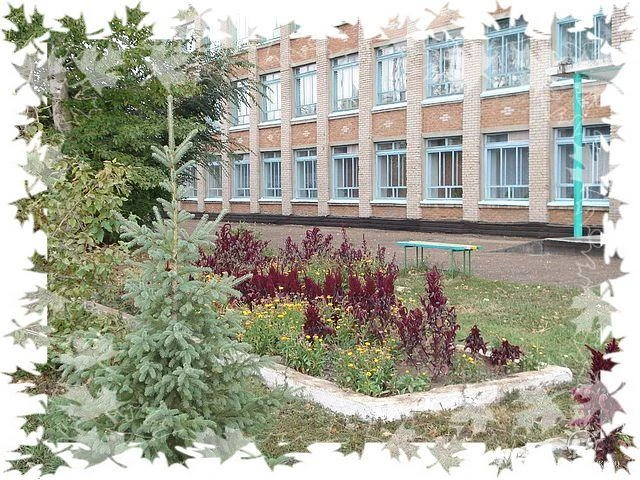 МКОУ "Самарская СОШ"Локтевский район
