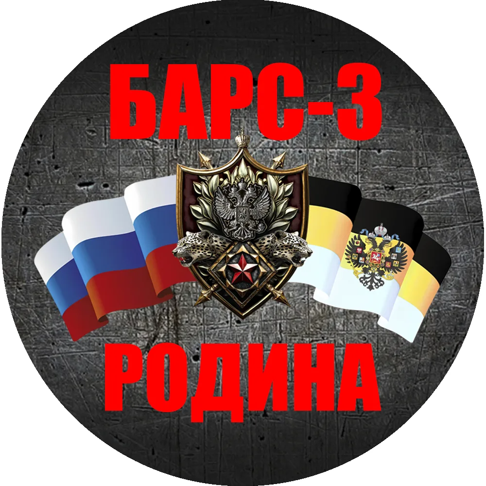 БАРС-3 «Родина» — канал в мессенджере MAX