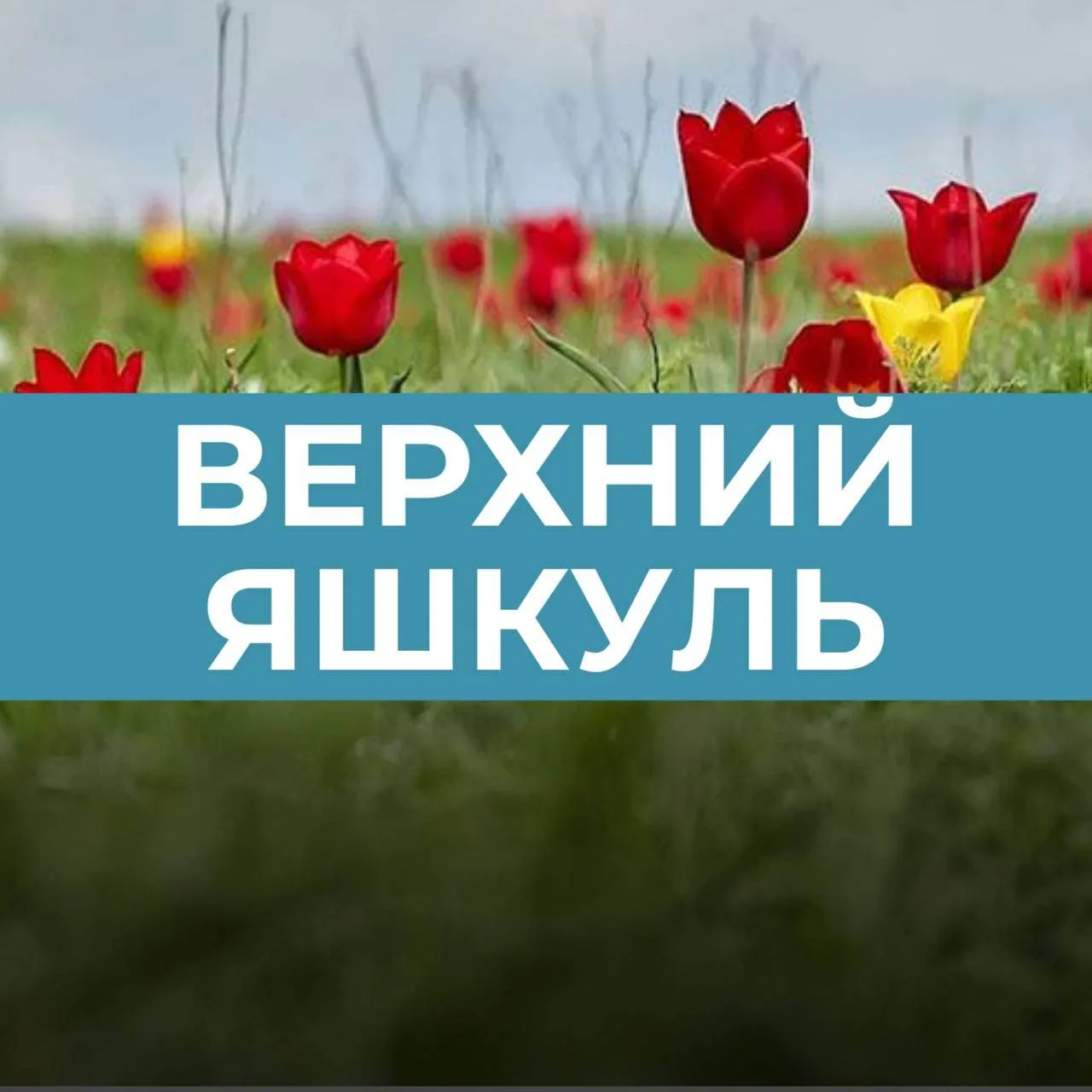 Верхнеяшкульское СМО РК