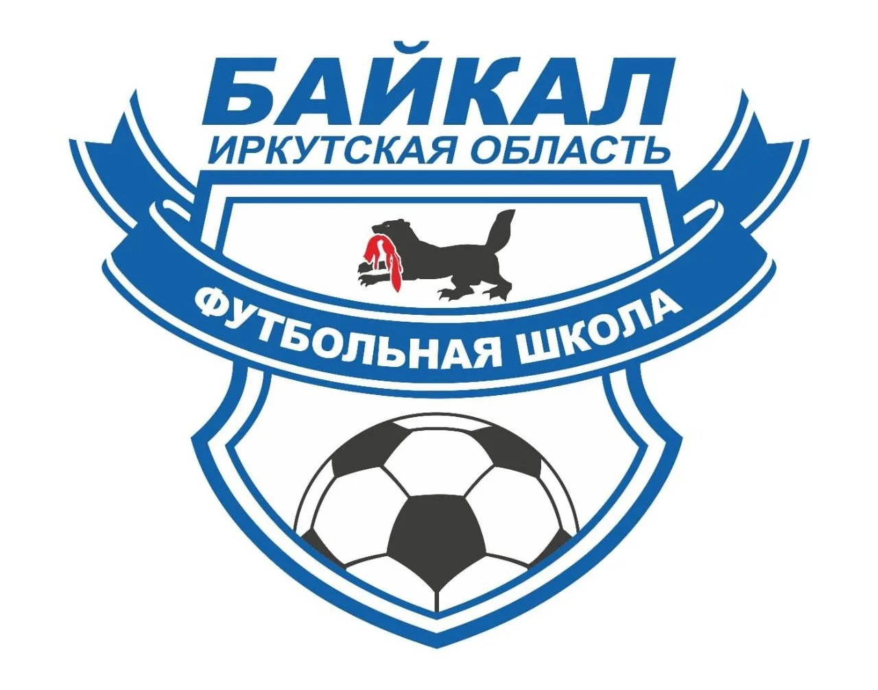 ОГКУ ДО СШ по футболу Байкал
