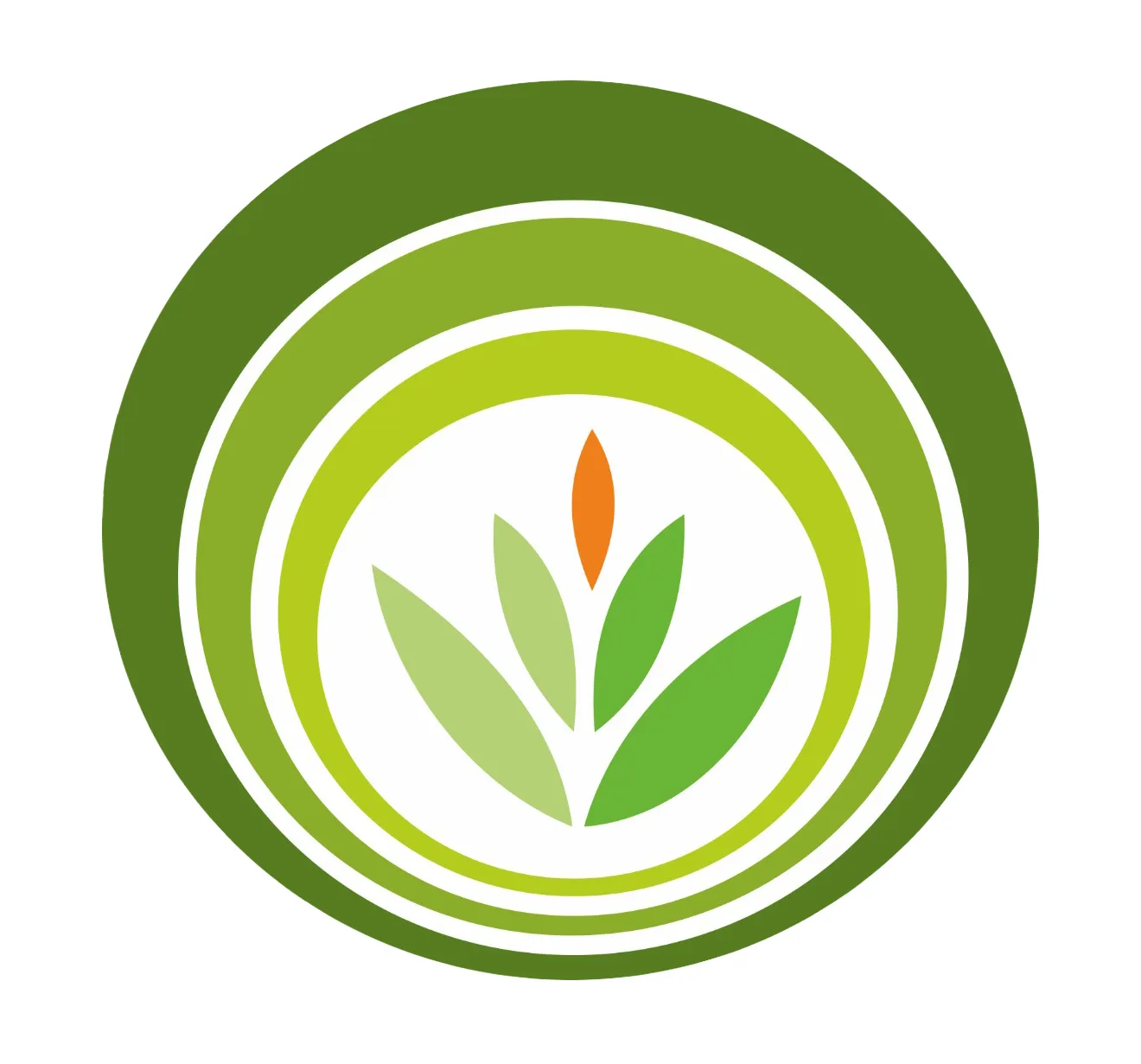 МАУ ДПО "ЦРО", Братск