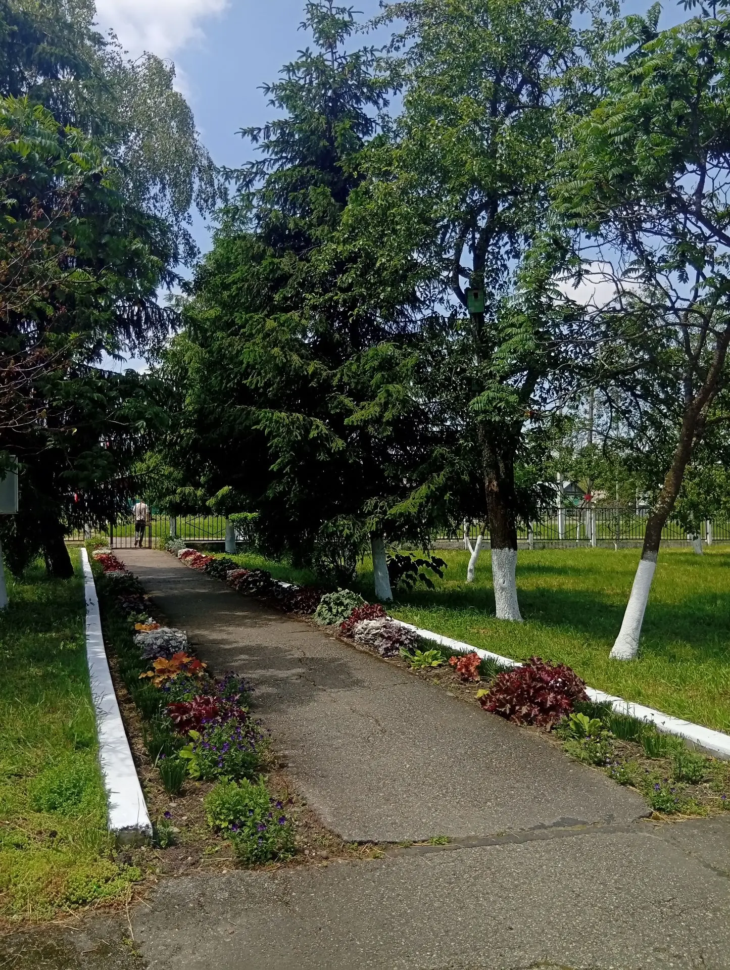 МОБУ ООШ №17 село Гофицкое