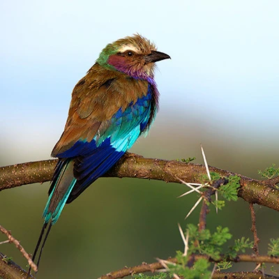 Логотип канала