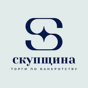 СКУПЩИНА лоты