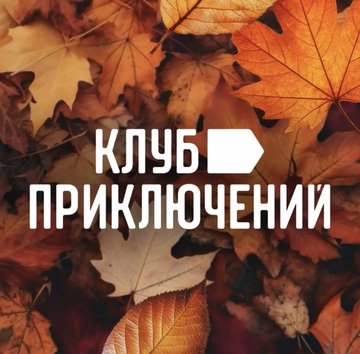 Клуб Приключений (vpoxod.ru) — канал в мессенджере MAX