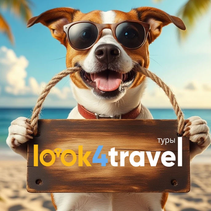 look4travel.ru — канал в мессенджере MAX