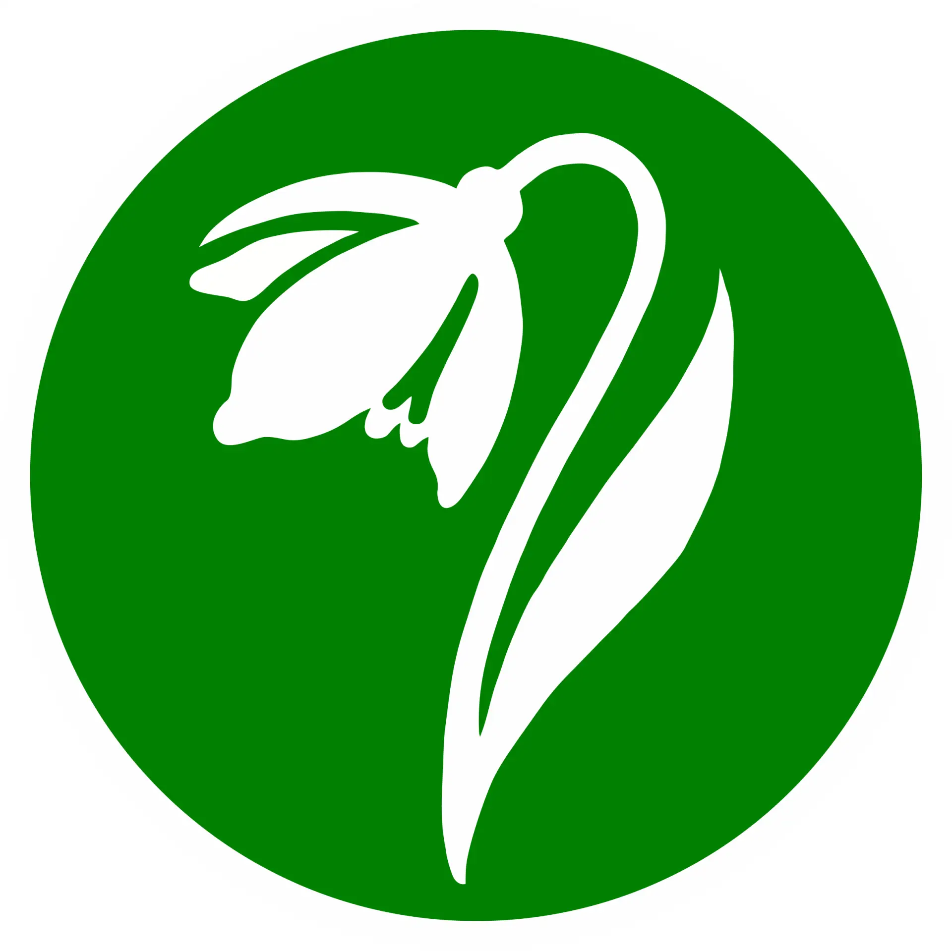 Царскосельская гимназия искусств имени Анны Андреевны Ахматовой