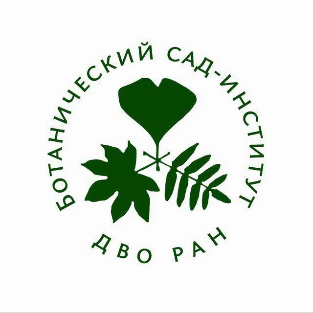 Логотип канала