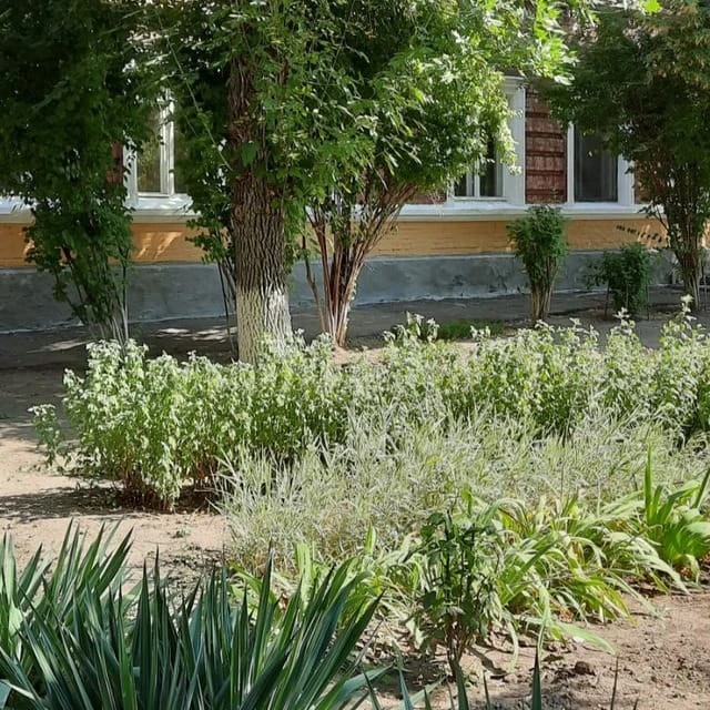 КАНАЛ МБДОУ детский сад №28 г. Каменск-Шахтинский