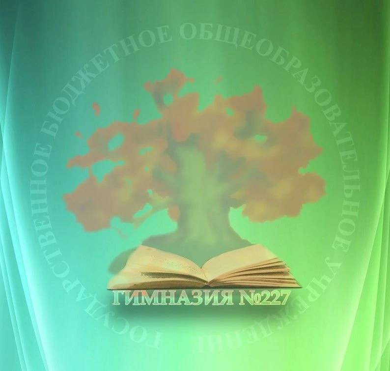 Гимназия №227