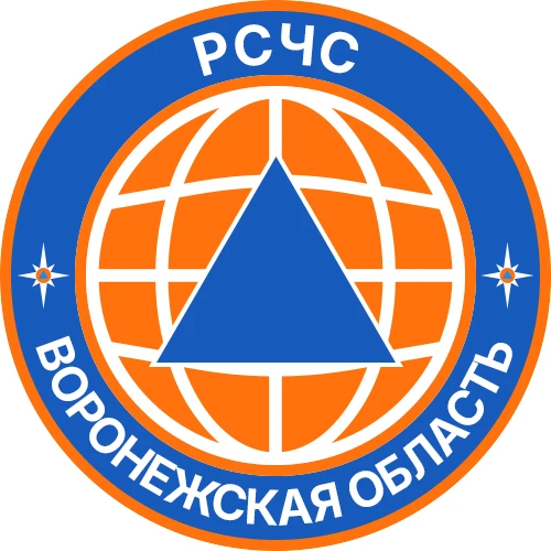 РСЧС Воронежская область — канал в мессенджере MAX