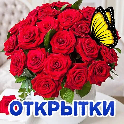 Живые Открытки GIF l Поздравления Видео ГИФ Картинки Пожелания Гифки — канал в мессенджере MAX