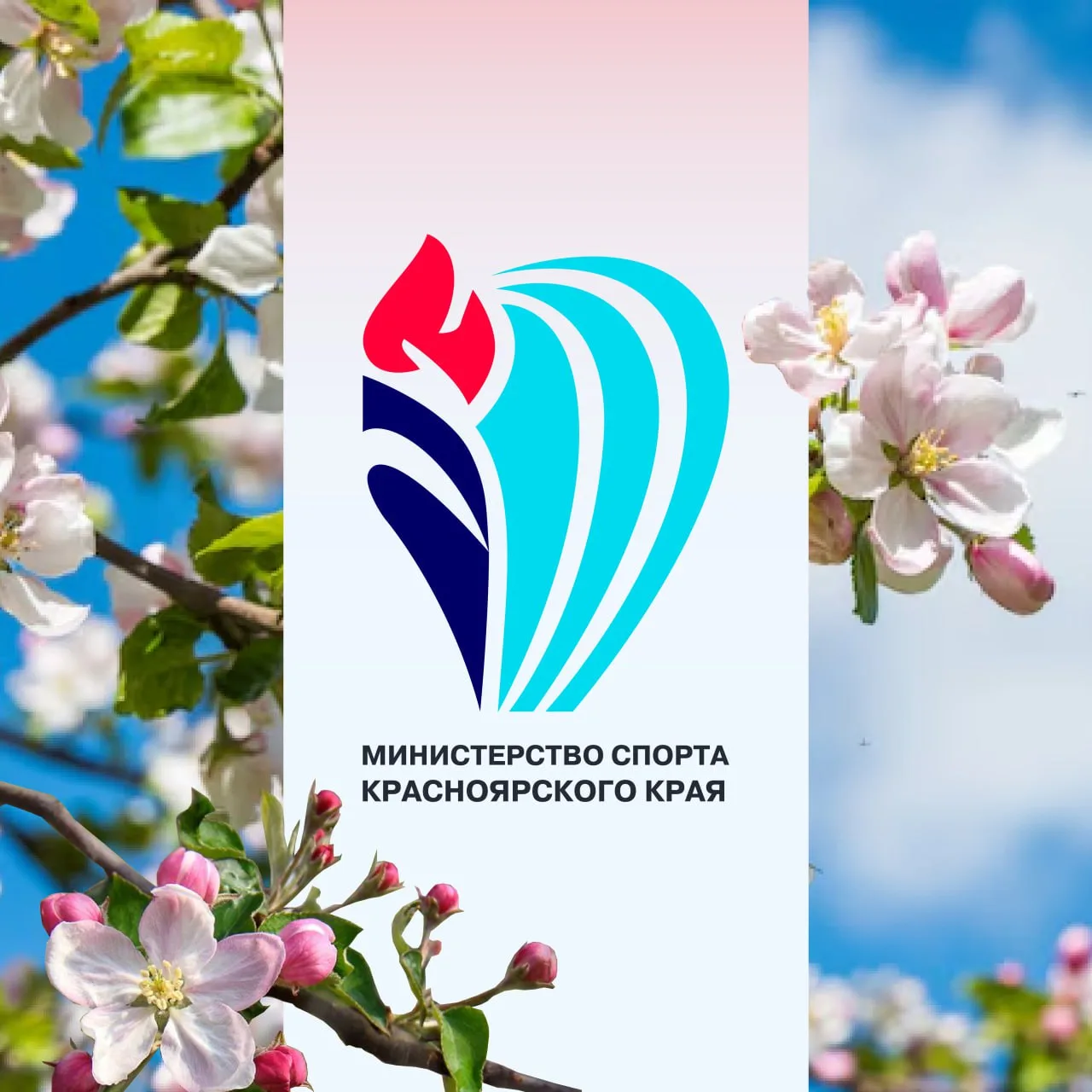 Министерство спорта Красноярского края