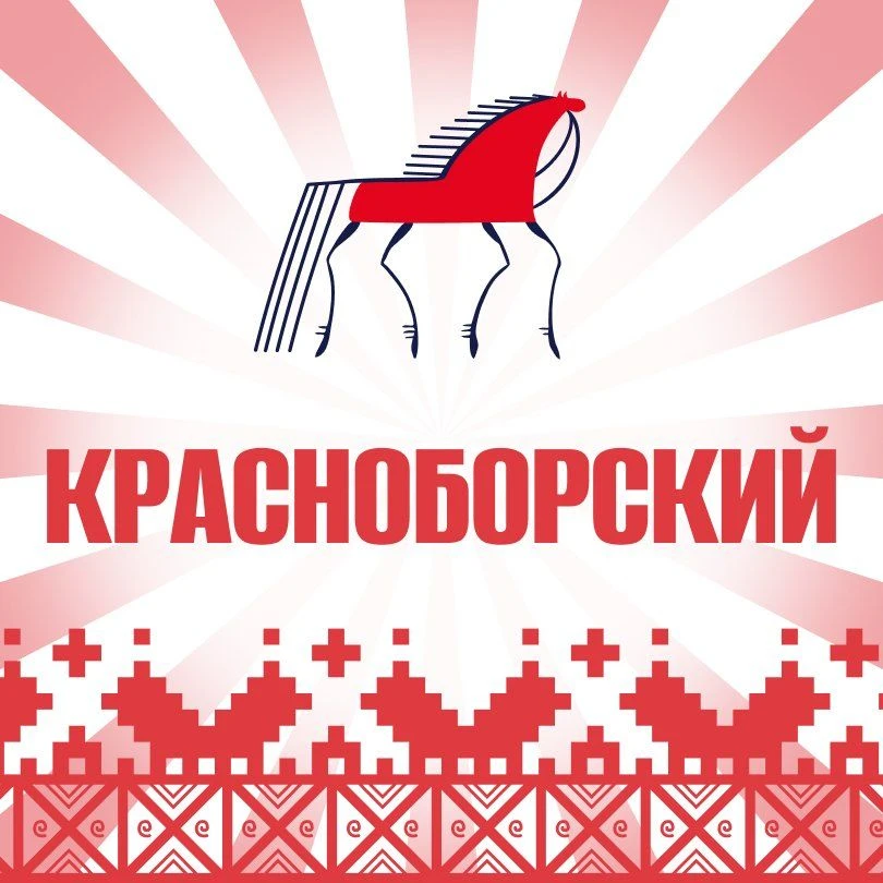 Администрация Красноборского муниципального округа