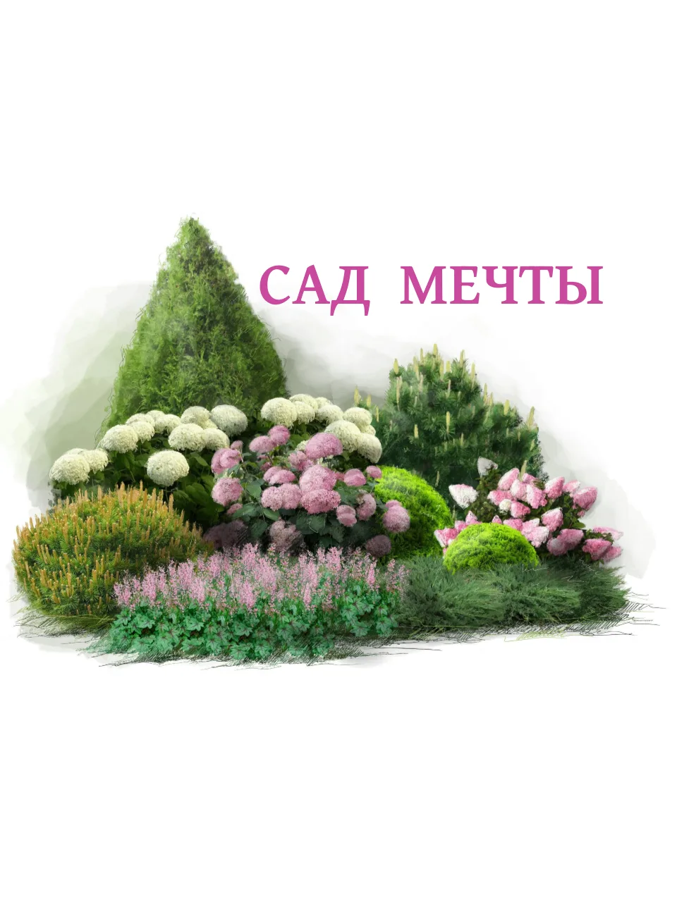 Сад Мечты- каталог саженцев