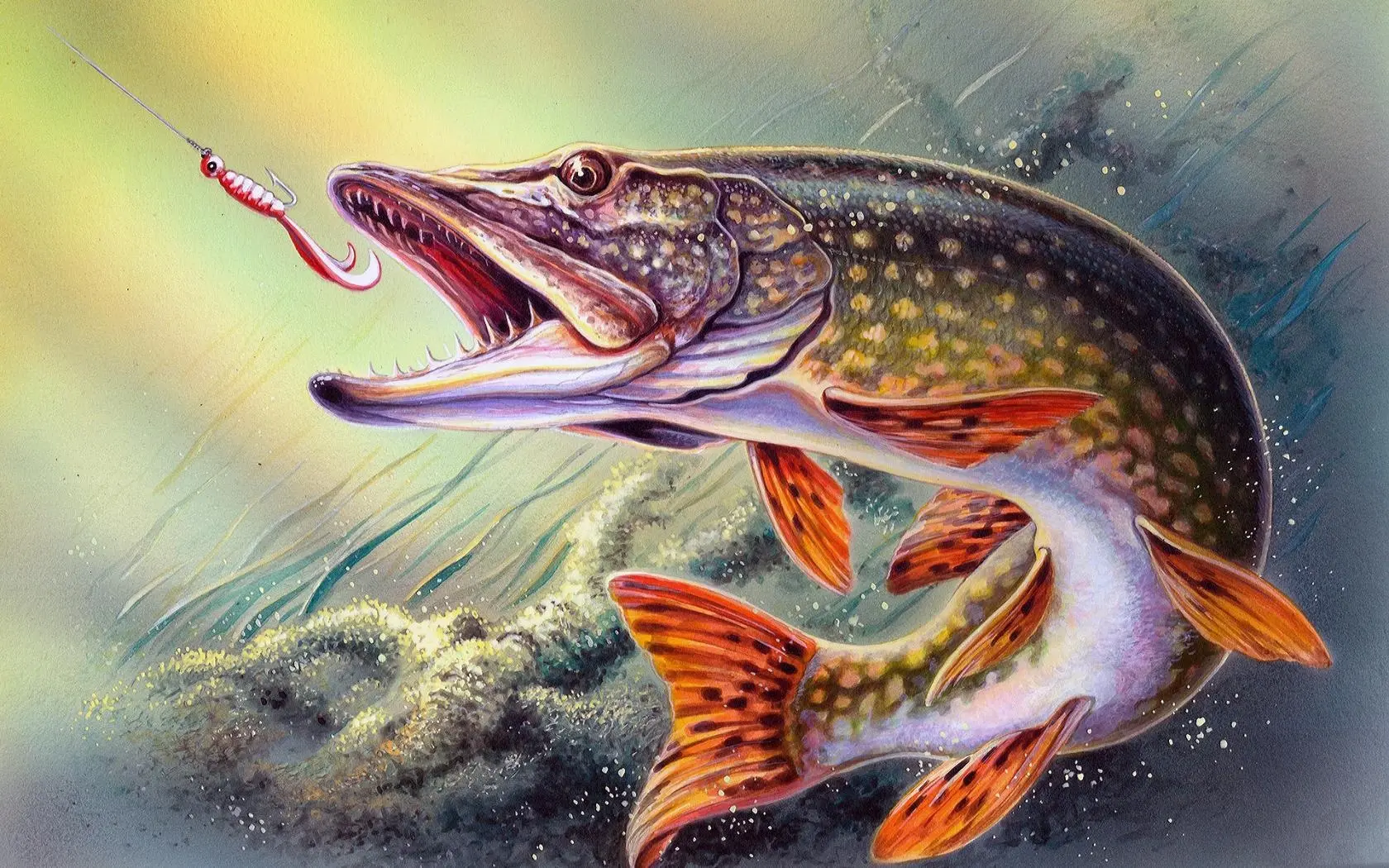 Всё про рыбалку🎣