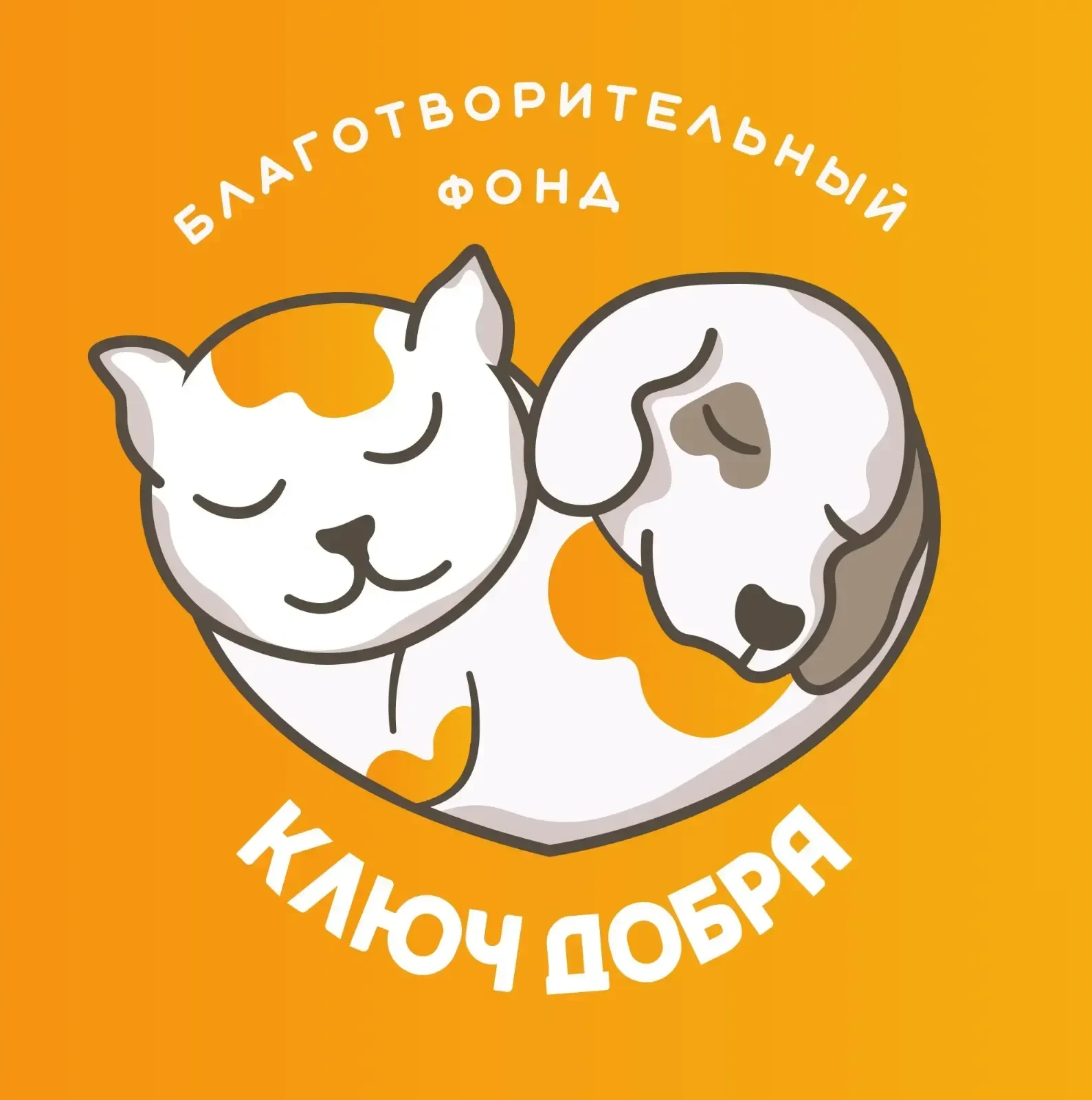 Ключ добра - фонд помощи животным, Горячий ключ — канал в мессенджере MAX