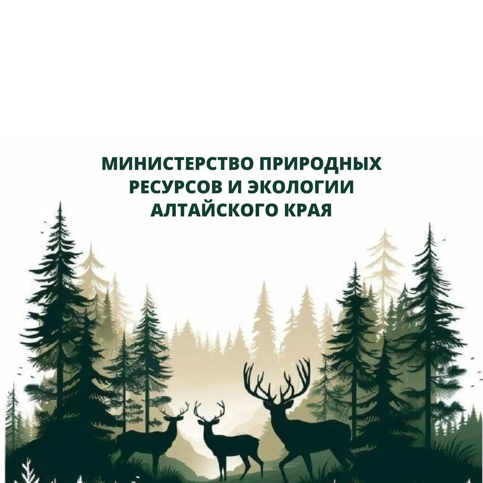 Минприроды Алтайского края — канал в мессенджере MAX