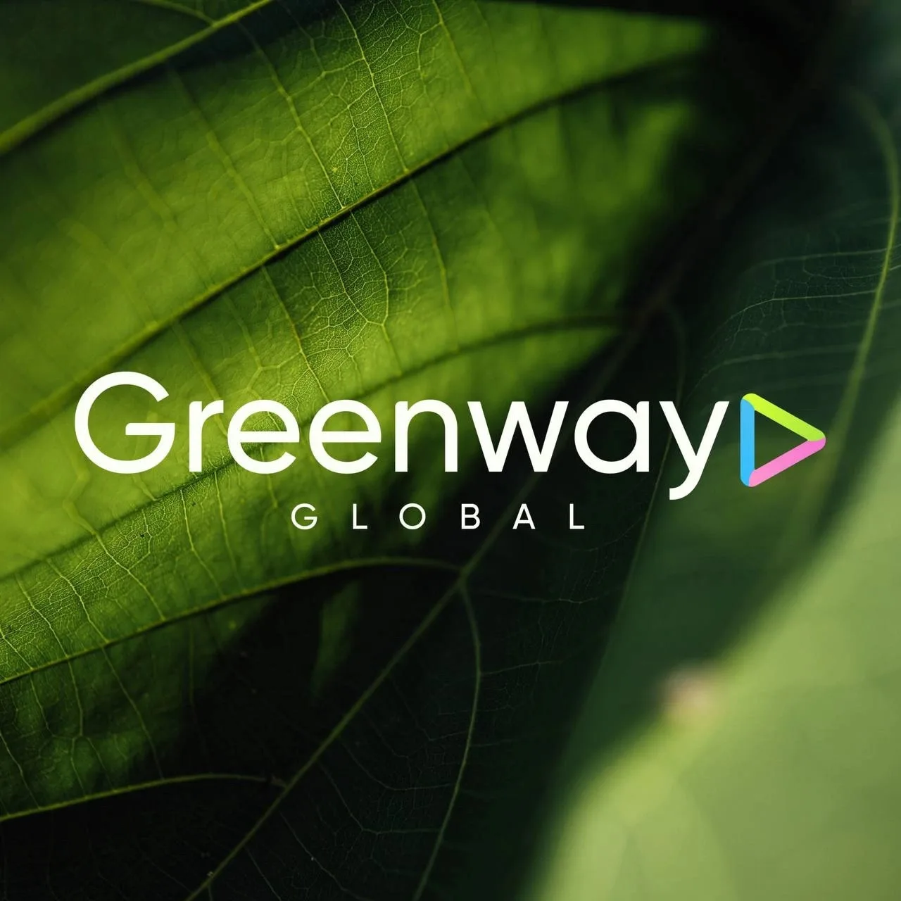 Greenway Global — канал в мессенджере MAX
