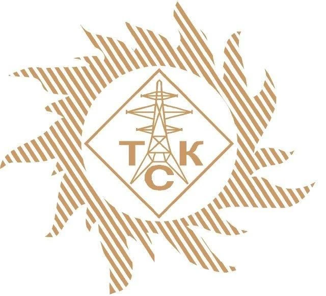 "Тамбовская сетевая компания"