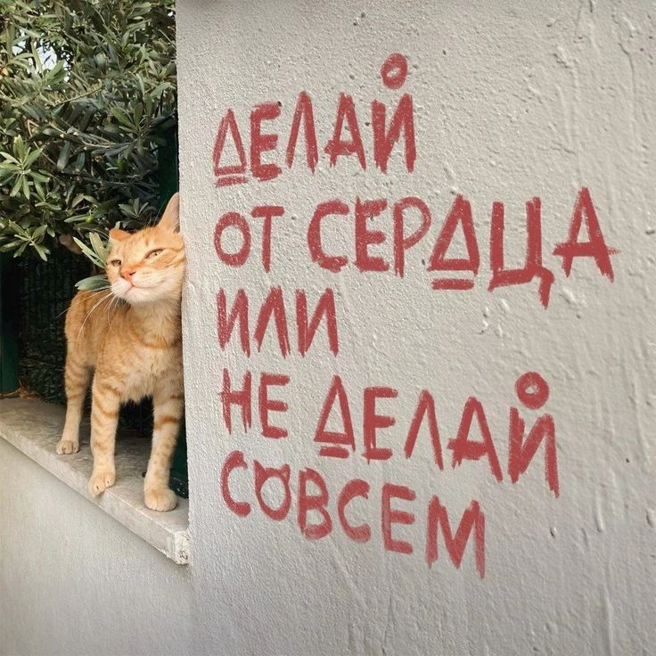 Надписи на стенах
