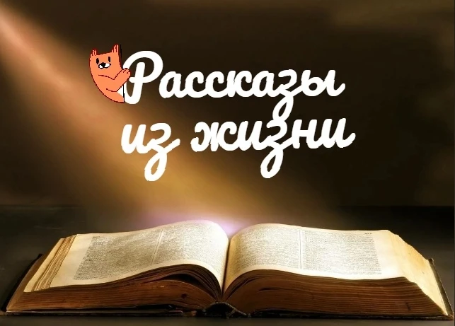 Рассказы из жизни — канал в мессенджере MAX