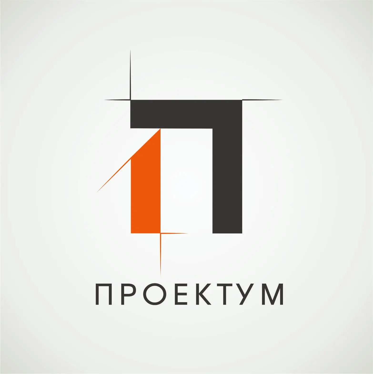 Студия дизайна ПРОЕКТУМ
