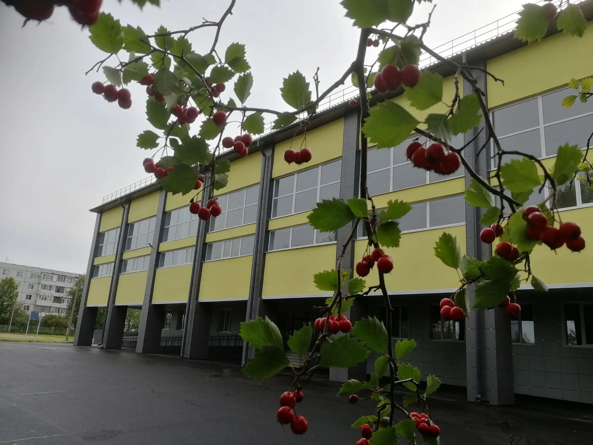 МАОУ СОШ № 8 с УИМ и АЯ