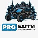 PROБАГГИ ШОП