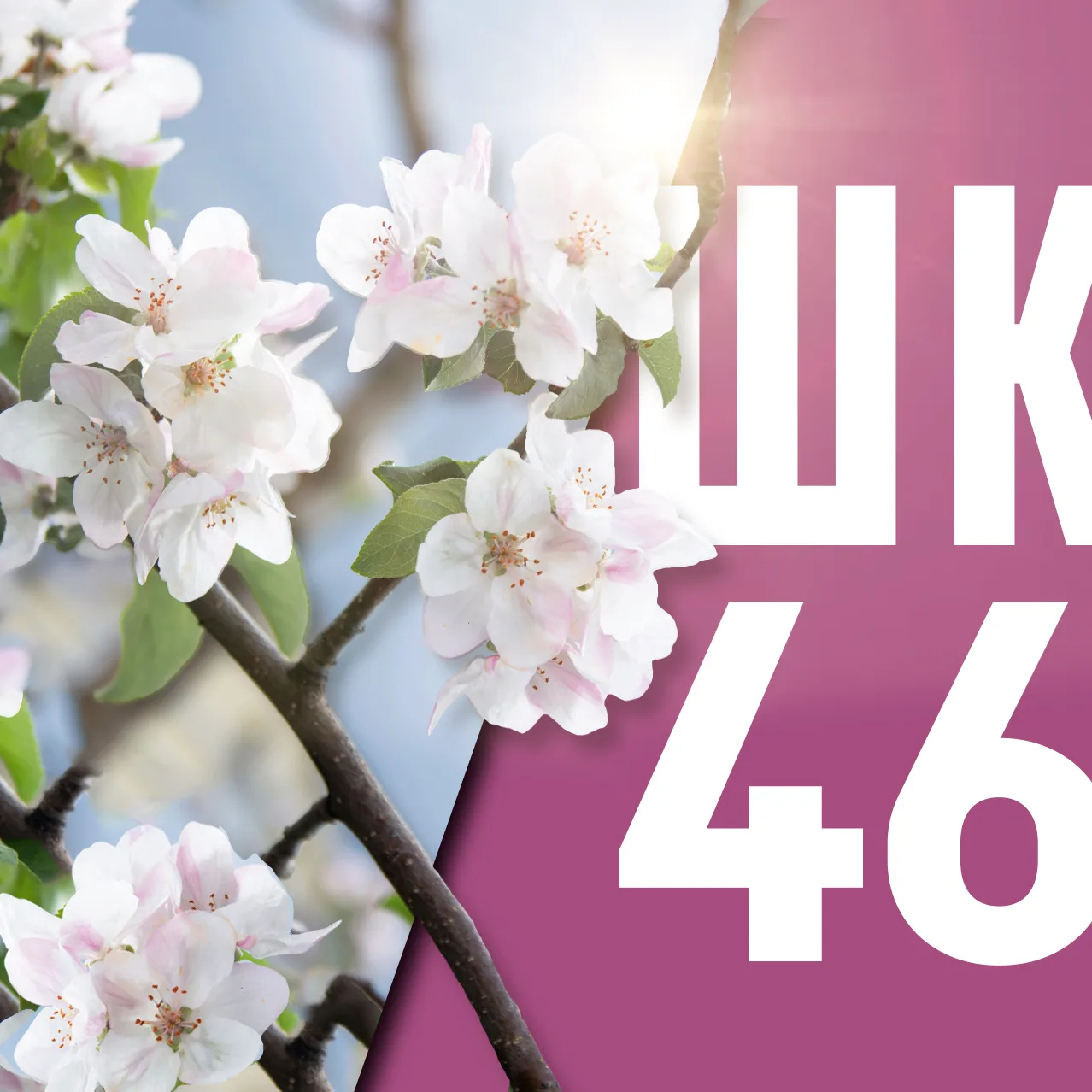Школа №46 | г.Ижевск — канал в мессенджере MAX