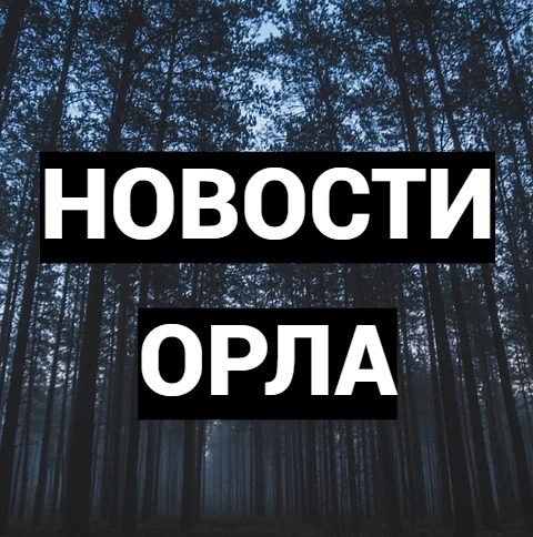 ЧП Орёл, новости, происшествия Орла, подслушано жесть, ДТП Орел погода карта работа афиша вакансии расписание программа Ливны Мценск Болхов Дмитровск Малоархангельск Новосиль Знаменка Нарышкино — канал в мессенджере MAX