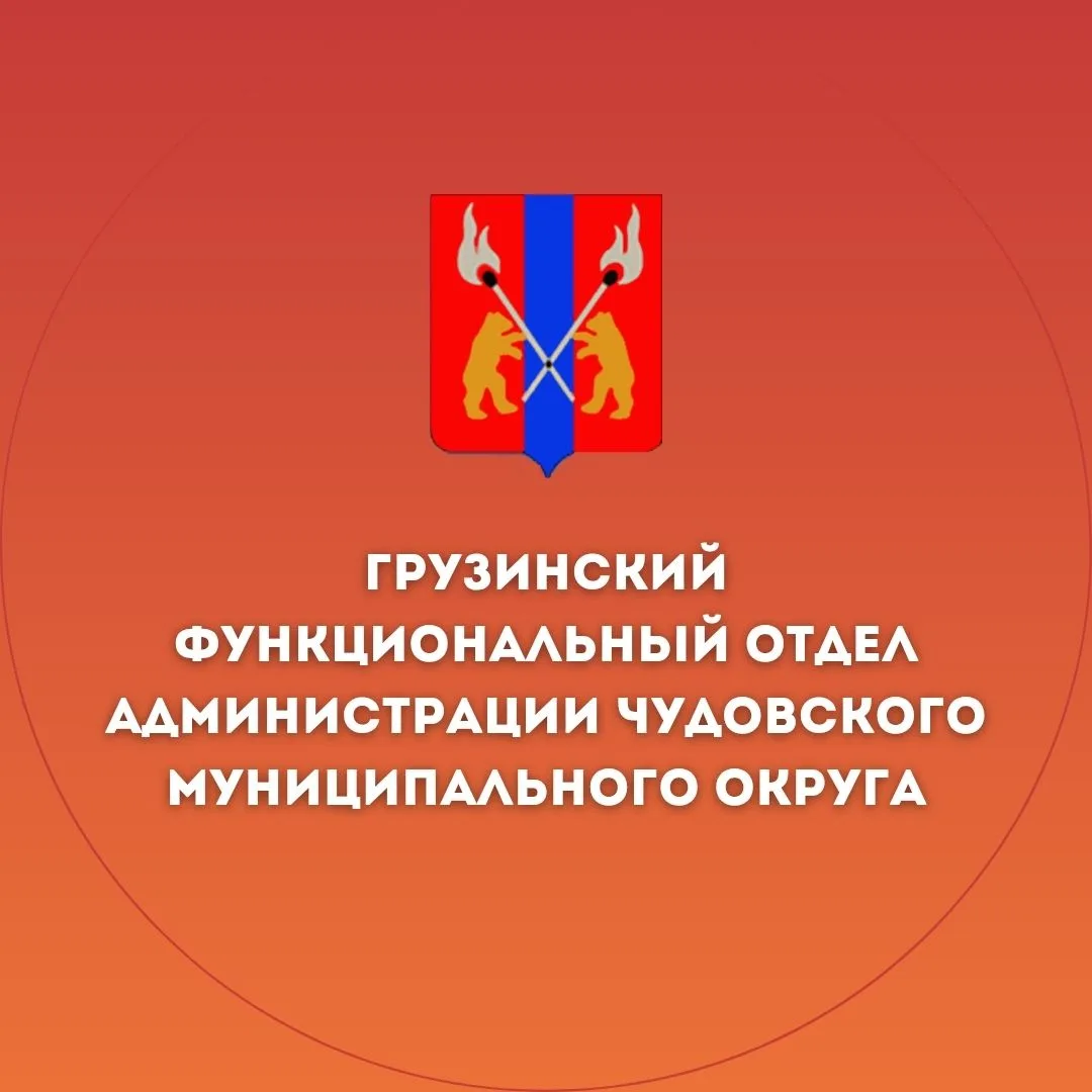 Грузинский функциональный отдел — канал в мессенджере MAX