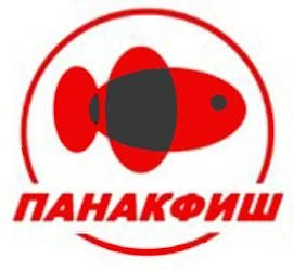 ПАНАКФИШ Аквариумные рыбки оптом и в розницу — канал в мессенджере MAX